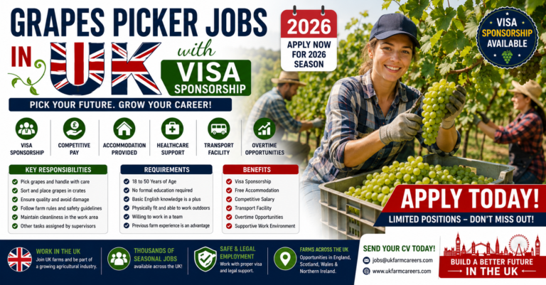 Grapes Picker Jobs in UK with Visa Sponsorship 2026